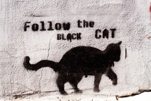 followtheblackcat