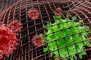 Infected with vector