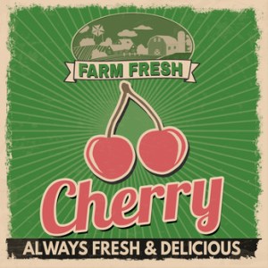 Cherry vintage grunge retro advertising poster, vector illustration.  Retro vegetables for farm fresh